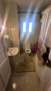 شاليه مارينا فلاورز