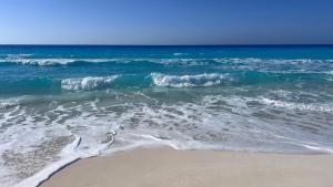 شاليه مارينا فلاورز