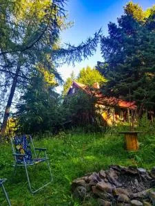 Grapa - Magiczna Leśna Chata - Ohłypów