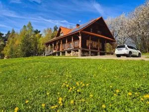 Dom na Kamieńcu - Jaworzna