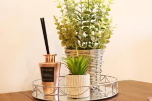 Charms at Citygate with free use of onsite gym