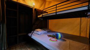 Campings Domaine Les Chenes Blancs : Tente
