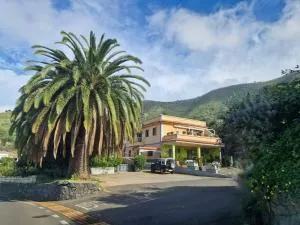 Los viñedos - Los Silos