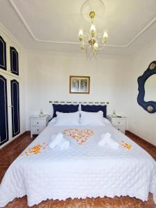 CHC - Casa del Abuelo II