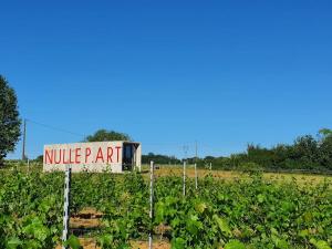 Un loft original au milieu des vignes