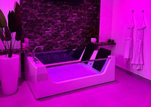 Jacuzzi Apartment near center of Rome