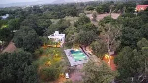 The Chocolate Frog - Thūr