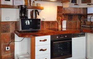 Beautiful Home In Donja Voca With Kitchen 