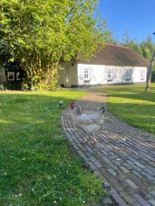 Lingeliefde Logement complete studio met eigen keuken en badkamer