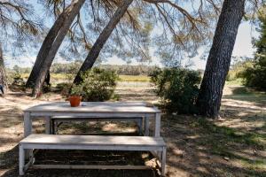 Tentes de luxe Saint Paul le Marseillais Tentes Equippees Hebergements Insolites Lodges : photos des chambres