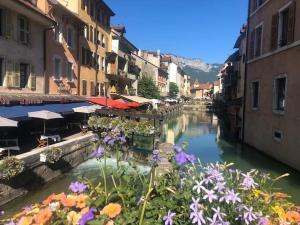 Appartements Appartement Proche centre ville avec Parking Gratuit : photos des chambres
