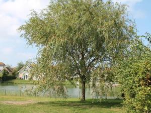 on the lake Comfortable holiday residence