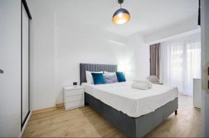 Infinity Blue Velvet