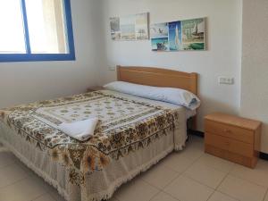 Apartamentos Surfing 3000