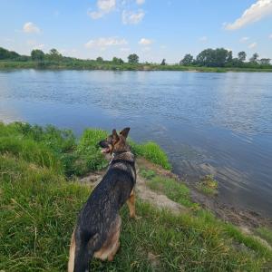 Domek Basia
