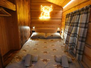 Abergwynant Farm Glamping & Apartments