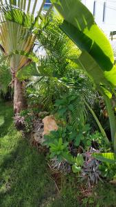 Bayahibe Guest House Hotel