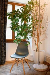 Les Appartements Rue des Veaux - Quartier Cathedrale : photos des chambres