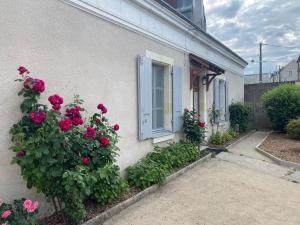 Maisons de vacances Clos des Chardons - Le Jardin : photos des chambres
