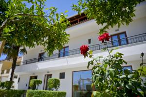 Villa Qeli - 4-star hotels in Gjirokastër