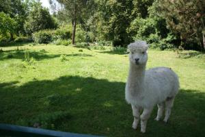 Une Chambre à la Campagne
