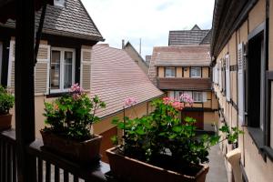 B&B / Chambres d'hotes Chambres d'hotes Francois Bleger : photos des chambres