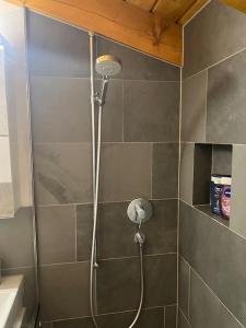 Modern 2 bedroom apartment in Laax