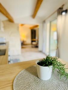 Appartements Les Sarments charme de l-Ancien renove et au calme : photos des chambres