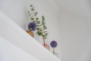 Appartements Bleu Bonheur, appartement cosy au coeur de la Baie : photos des chambres