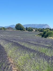 Villas Villa Victoire au coeur de la Provence : photos des chambres
