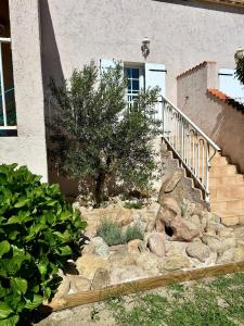 Appartements Campo Vecchio Kamerops et piscine : photos des chambres