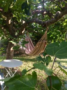 Villas Grande Maison de famille, 12pers, Piscine privee, Vallee du Lot & Bastides : photos des chambres