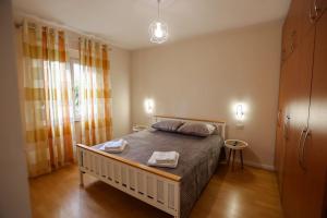 Lively Center of Tirana