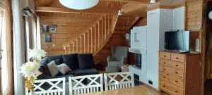 Alppiruusu A - 索特