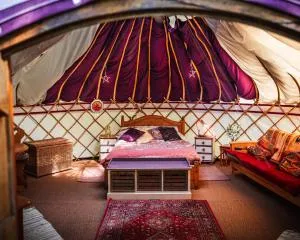 Woodland Yurt at Kingsmead - Hemyock
