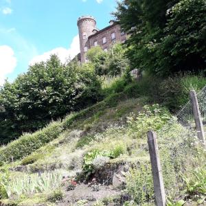 geräumiges Ferienhaus