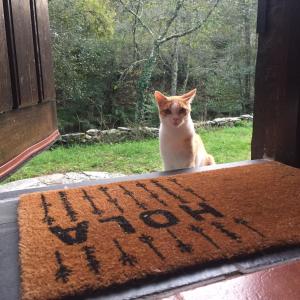 O Muíño da Balsiña