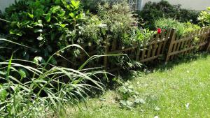 Ferienhaus Paschke Möhnesee Zentrum