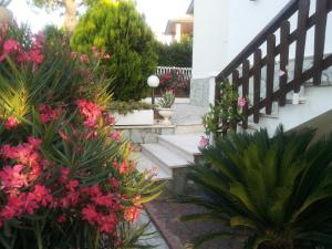 Pension Villa Patrizia B&B Ripatransone Italien