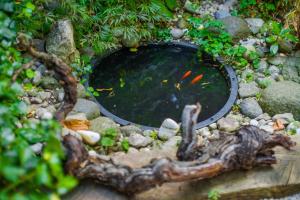 Appartements Le Jardin des Oiseaux : photos des chambres