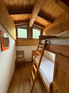 Effealatapartments - La Perla della Val di Sole