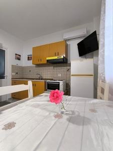 Vaya Guesthouse