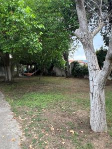 Villa Katia