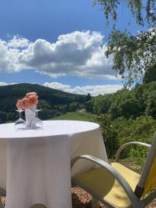 Maisons d'hotes Gite de Chamelet - Nature et tranquillite : photos des chambres