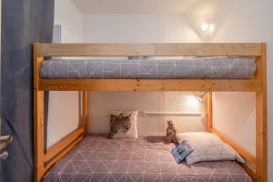 Appartements Studio haut de gamme Contamines : photos des chambres