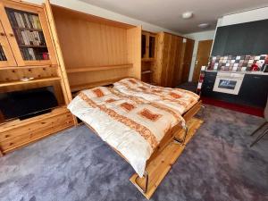 Alpine Studio Apartment