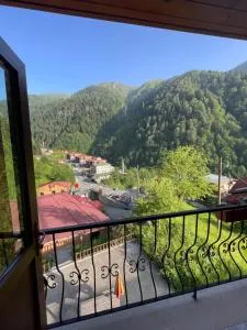 AYDER Köroğlu Apart - 艾德亚耶拉西