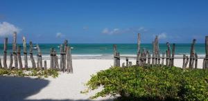 Jambiani Guest Lodge Garden