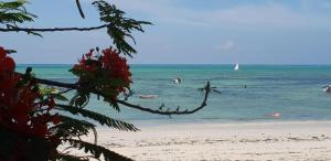 Jambiani Guest Lodge Garden