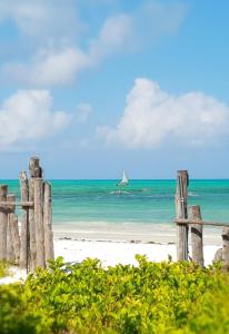 Jambiani Guest Lodge Garden